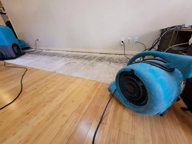 Professional Water Extraction technician working in Memphis, MI